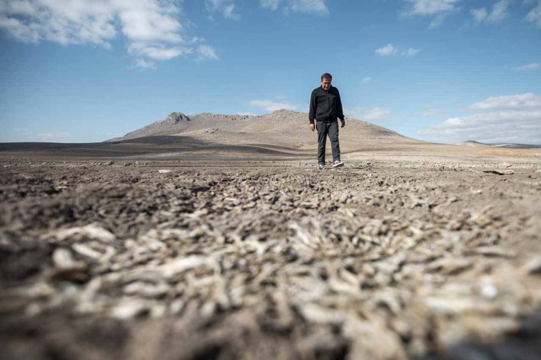 Bir baraj daha kurudu: Sular çekildi bir tane canlı balık kalmadı 6